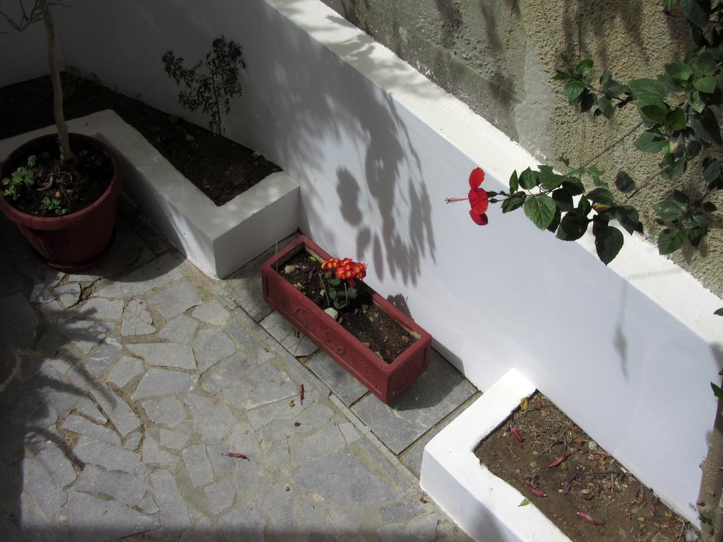 Petra Hotel Agia Galini  Luaran gambar